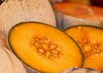 La producción anual de melón se mantuvo en 117 mil 252 toneladas. Foto: Pixabay.