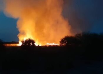 Solo daños dejó incendio forestal en Allende. Foto: Protección Civil de Coahuila.