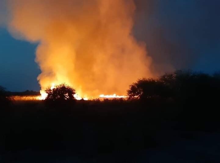 Solo daños dejó incendio forestal en Allende. Foto: Protección Civil de Coahuila.