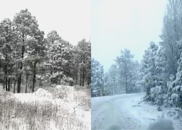 Nevada en sierra de Chihuahua