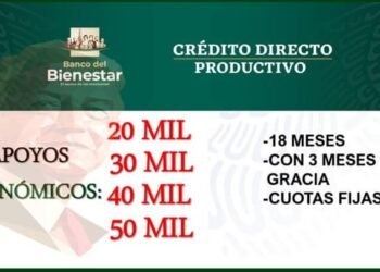 Los estafadores usan programas del gobierno para enganchar a la gente.