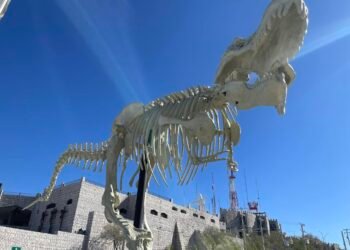 En 2022 hubo una derrama económica superior a los 5,500 mdp en el sector turístico de Coahuila. Foto: Puerto Noas.