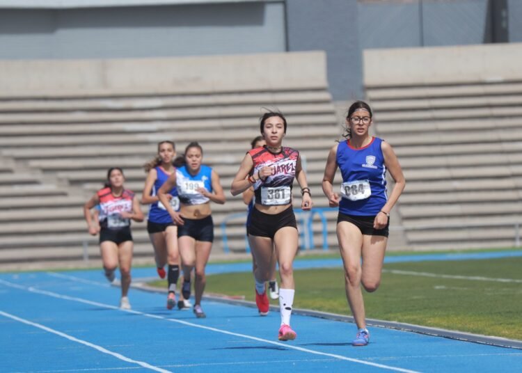 Estatal de Atletismo 2023