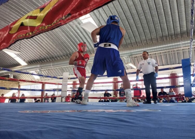 Festival Olímpico de Boxeo 2023