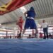 Festival Olímpico de Boxeo 2023