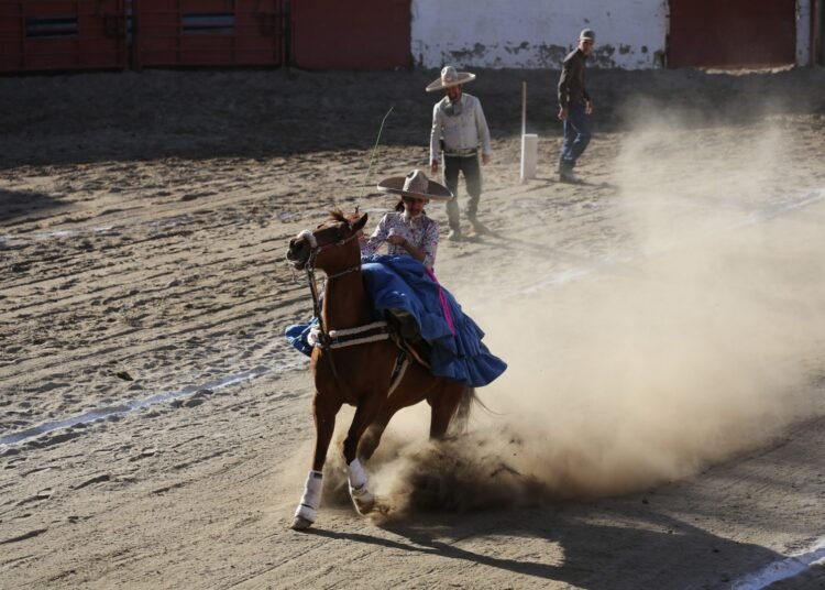 Festival Viva el Mezcal 2023