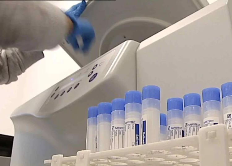 Posible brote de ántrax alerta a la OMS: Riesgo de rápida expansión internacional