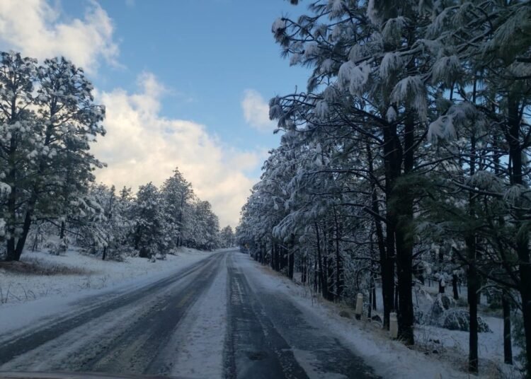 Continúan cuatro tramos carreteros cerrados por congelamiento: CEPC