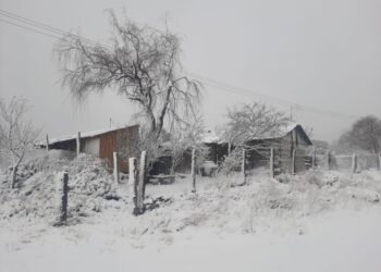 Pronóstico de Lluvias y Nevadas en el Estado de Chihuahua: Alerta de Protección Civil