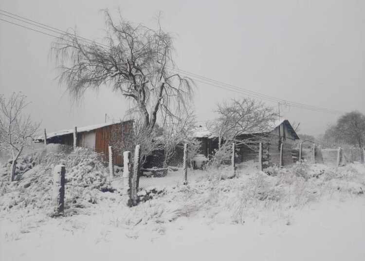Pronóstico de Lluvias y Nevadas en el Estado de Chihuahua: Alerta de Protección Civil