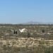 Tragedia Aérea en Ramos Arizpe: Cuatro Personas Fallecen en un Accidente de Avioneta