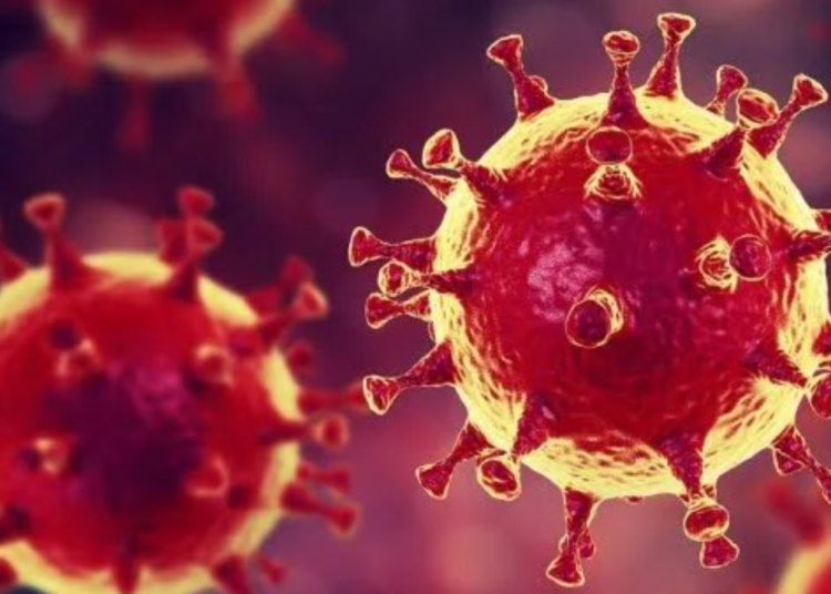 Investigadores chinos prueban variante letal del coronavirus con tasa de letalidad del 100% en ratones genéticamente modificados