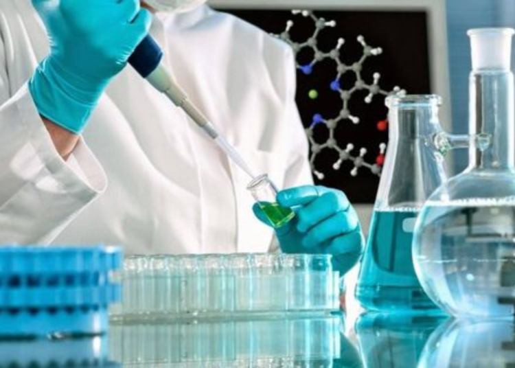 Descubren el misterio del color amarillo de la orina y revelan su conexión con la salud intestinal