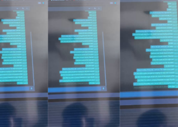 Un Joven Argentino Contrarresta Intento de Estafa en WhatsApp con el Guion Completo de Shrek