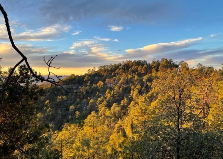 Nuevo frente frío amenaza con vientos, lluvias y nieve en la Sierra Tarahumara