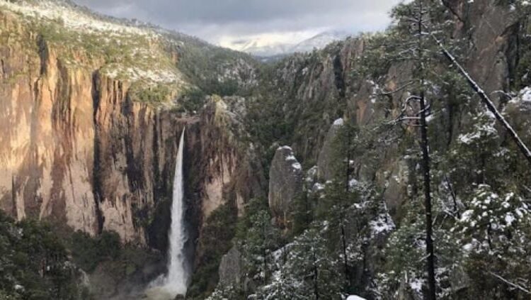 ¡Basaseachi se cubre de blanco! La cascada más alta de México se viste de nieve
