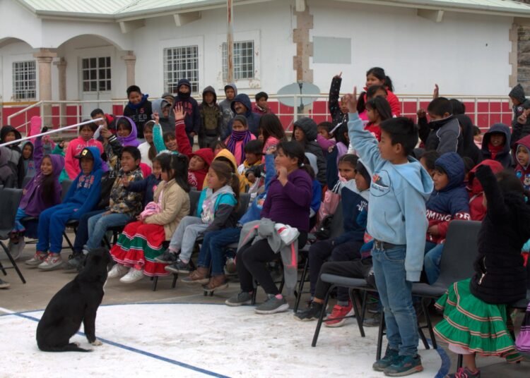Impulsan Literacidad y Bilingüismo en Educación Indígena de Bocoyna