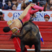 Torero Héctor Gutiérrez Sufre Grave Cornada en la Plaza México: Estado Crítico pero Estable»