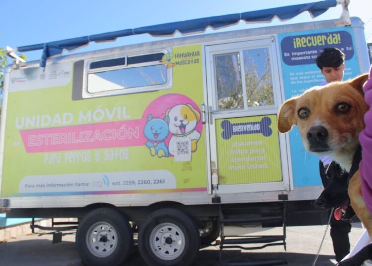 Gobierno Municipal lleva servicio de esterilización a mascotas a distintas colonias de Chihuahua