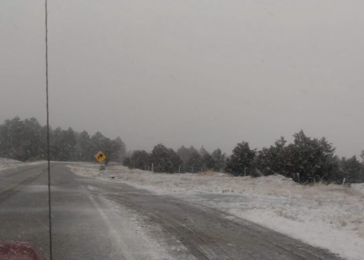 Reporte de la Sección Estatal: Cierre de Tramos Carreteros por Nevadas en la Región Noroeste