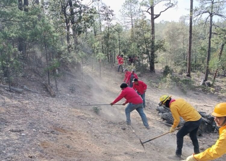 Refuerzan acciones de prevención de incendios forestales ante inicio del periodo vacacional