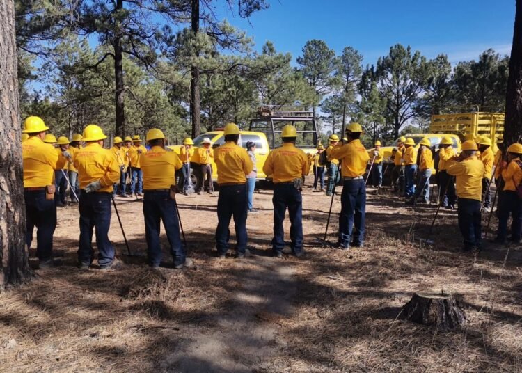 Intensifican brigadas operativos preventivos contra incendios forestales por periodo vacacional