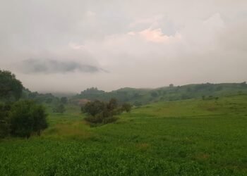 Continuará ambiente gélido en la Sierra Tarahumara para las próximas horas: Protección Civil