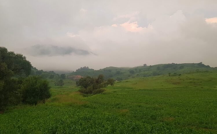 Continuará ambiente gélido en la Sierra Tarahumara para las próximas horas: Protección Civil