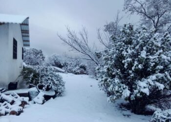 Reporta CEPC caída de nieve en 3 municipios ante el desplazamiento de la Novena Tormenta Invernal