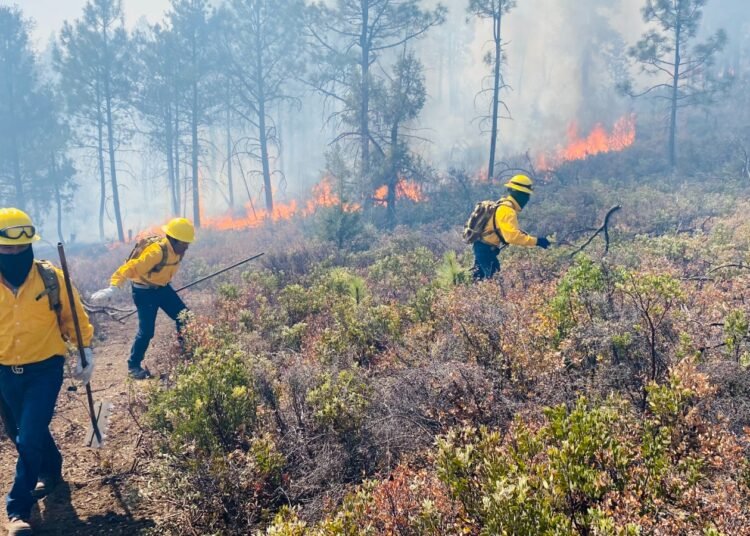 Continúan las acciones contra incendios forestales en la zona serrana