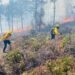 Continúan las acciones contra incendios forestales en la zona serrana