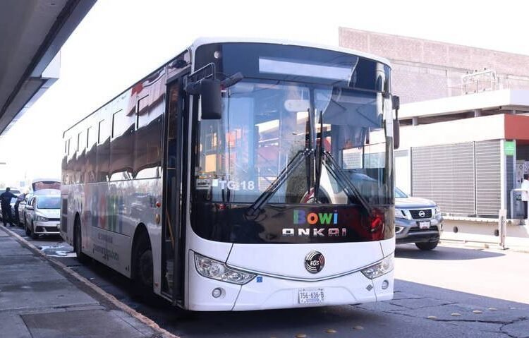 Tragedia en la Av. Universidad: Joven Atropellada por Camión en Carril Bowi