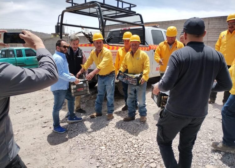 Combaten más de 200 brigadistas incendios forestales