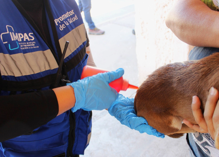 Presenta Municipio calendario del programa «El Patio de Mi Casa» para mayo