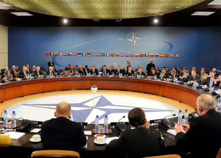 «Muro de Drones»: OTAN Refuerza Fronteras Contra Rusia