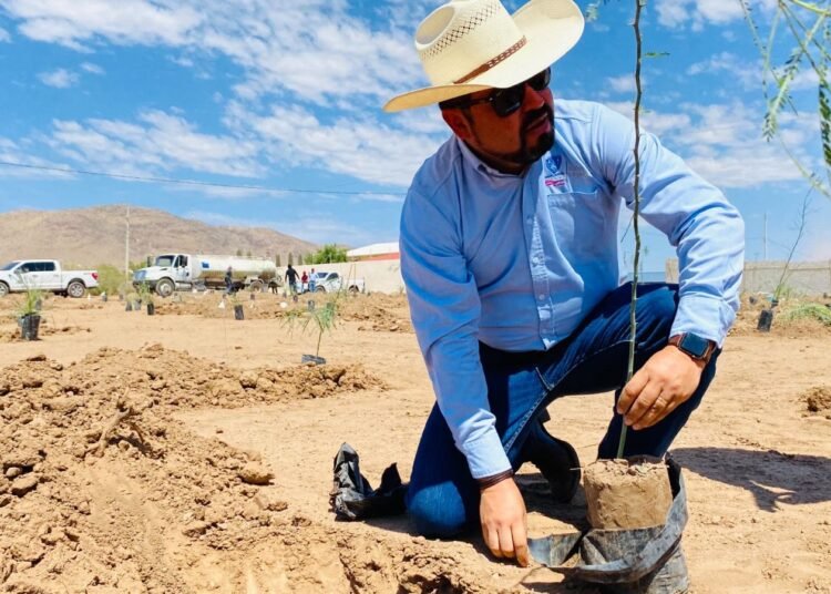 Arranca proyecto para creación de bosque urbano en Sacramento
