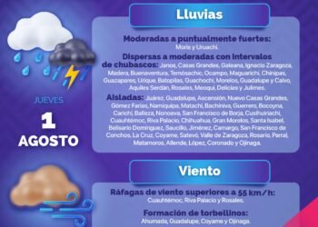 Borrador automático