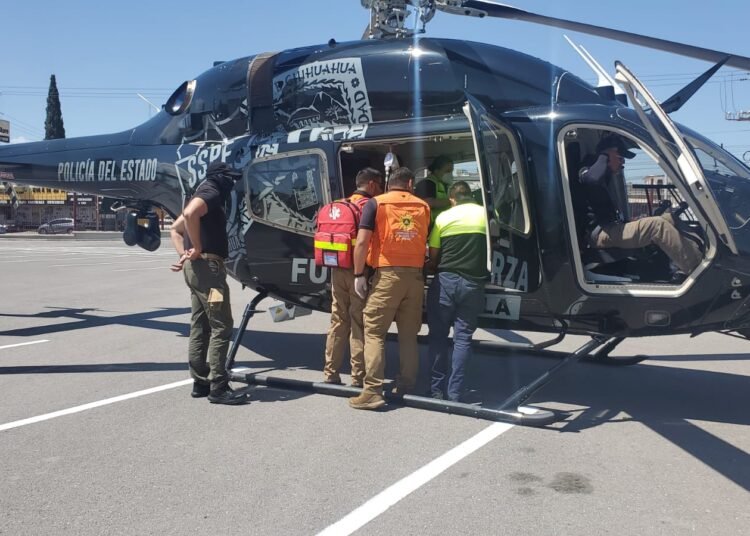 Borrador automático