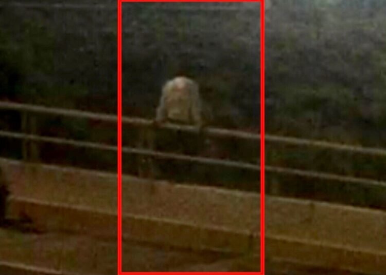 Policías Municipales Salvan a Persona en el Puente Lombardo Toledano