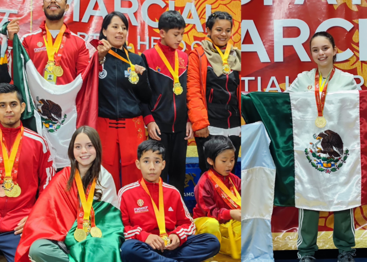 Borrador automático