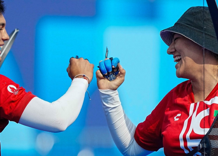 Borrador automático