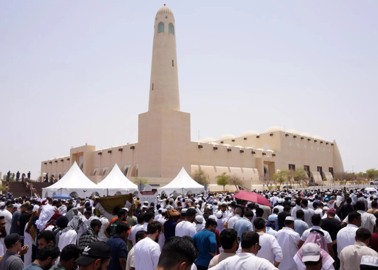 Borrador automático