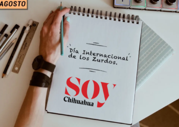 Un Día Como Hoy: 13 de agosto, Día Internacional del Zurdo