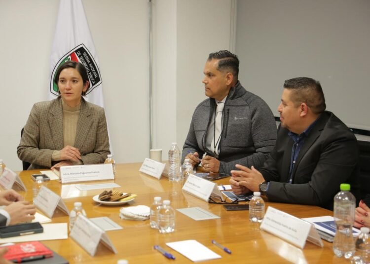 Acuerdan esfuerzos conjuntos en seguridad Estado y Gobierno Federal