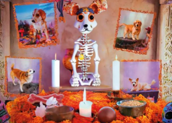Un día para recordar a nuestras queridas mascotas en el altar de Día de Muertos