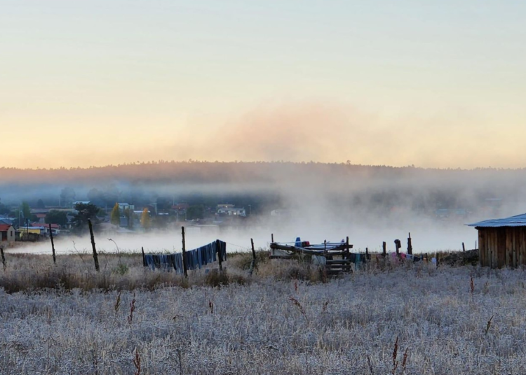 Alerta por descenso de temperaturas en el estado