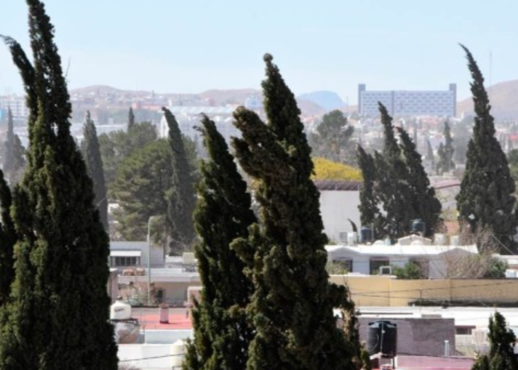 Alerta por ráfagas de viento de hasta 55 km/h para este fin de semana