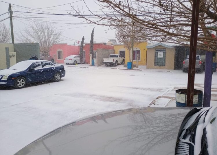 anos, Chihuahua, cubierto de nieve tras Segunda Tormenta Invernal