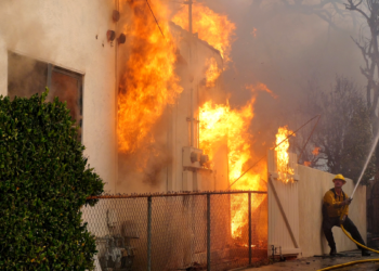 Incendios en Los Ángeles: caos y ayuda