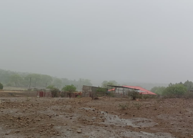 Prevén ráfagas de hasta 75 km/h para esta tarde en la Sierra y noroeste de Chihuahua